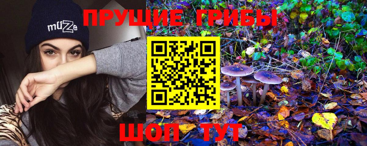Псилоцибиновые грибы MAGIC MUSHROOMS  Галлюциногенные грибы мицелий  Вход с VPN  Аша 
